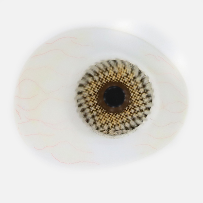 Uniieye Molly Gray Colored Contact Lenses | 1 Year